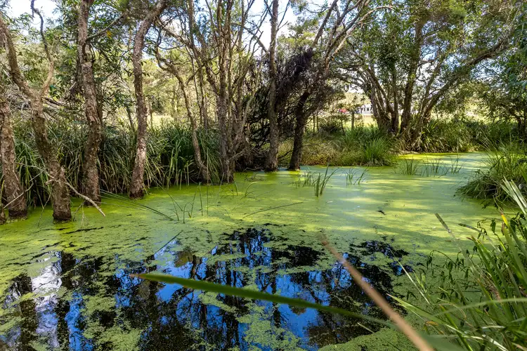 Fifth view of Homely land listing, 72 Suncrest Close, Bulahdelah NSW 2423