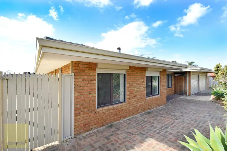 Main view of Homely house listing, 43 Cromwell Road, Alexander Heights WA 6064