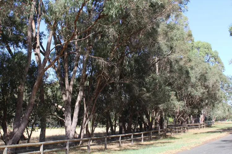 Lot 2 Winery Drive, Karnup WA 6176