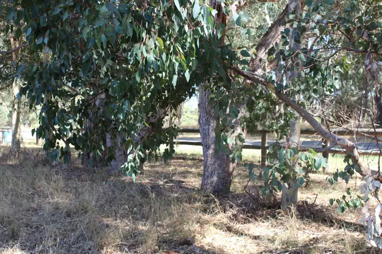 Second view of Homely land listing, Lot 2 Winery Drive, Karnup WA 6176