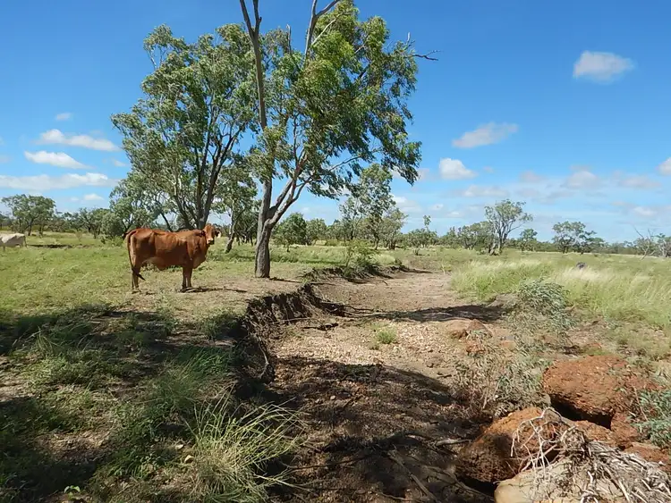 Sixth view of Homely rural property listing, . 'BORONTA PARK ', Prairie QLD 4816