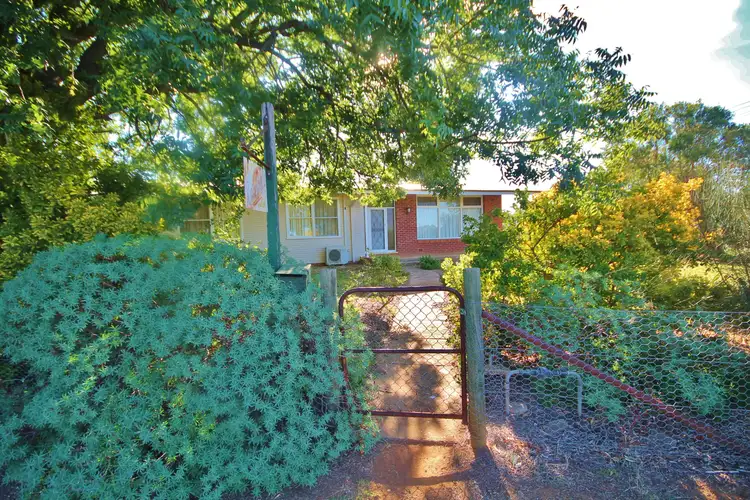33 Hills Street, Young NSW 2594