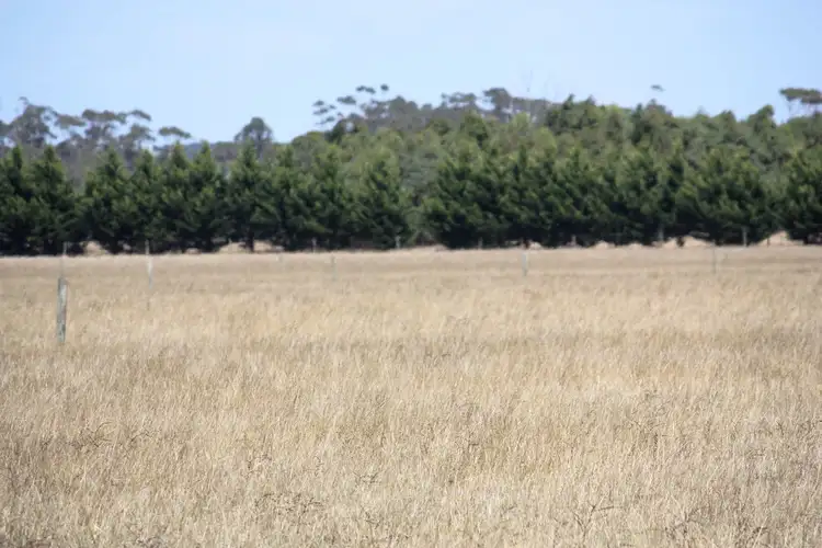 Sixth view of Homely rural property listing, Outpaddock Oswells Road, Boorcan VIC 3265