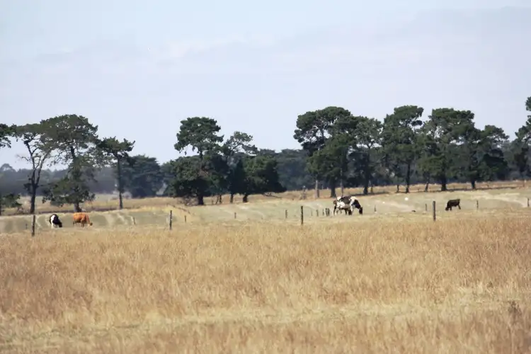 Seventh view of Homely rural property listing, Outpaddock Oswells Road, Boorcan VIC 3265