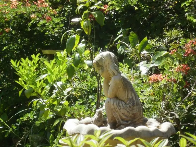 Main view of Homely rural property listing, 935 Tyalgum Road, Eungella NSW 2484