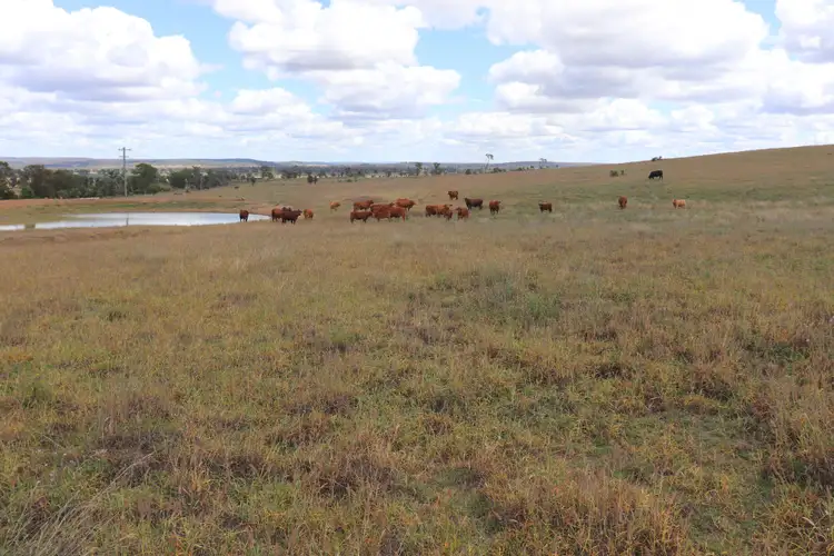 Third view of Homely rural property listing, 630 Riverleigh School Bus Road, Mundubbera QLD 4626