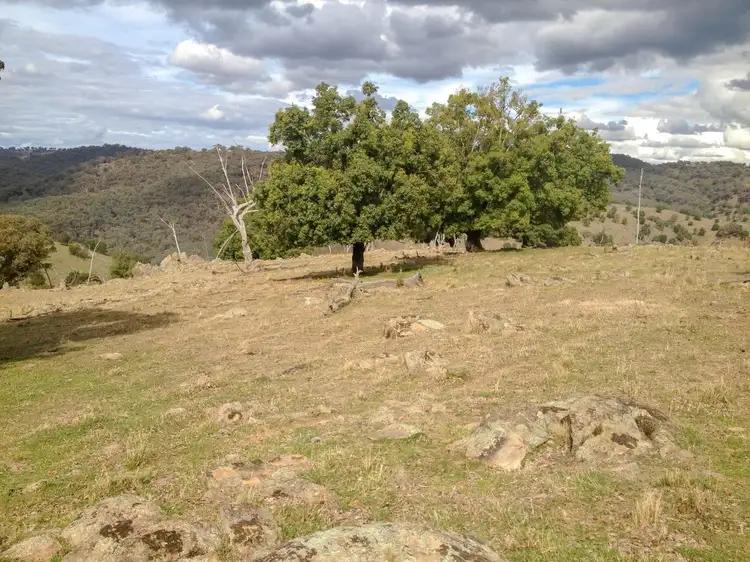 Third view of Homely rural property listing, 2022 The Bridle Track, Bruinbun NSW 2795