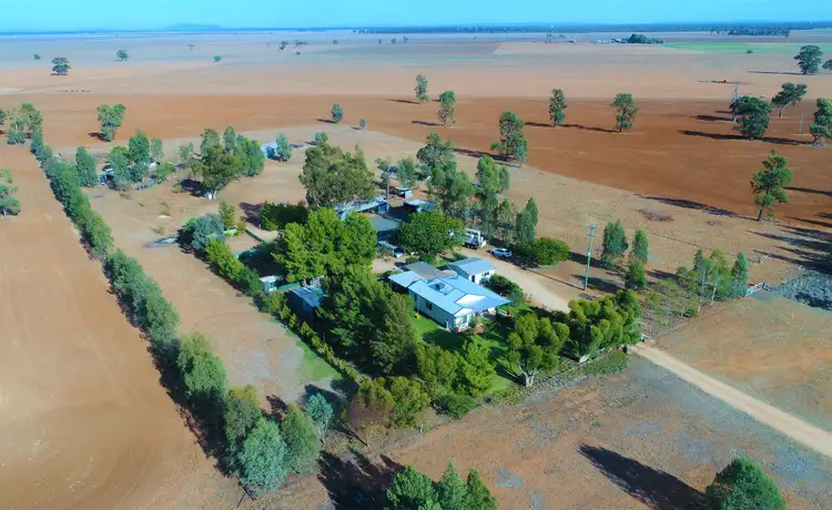 862 New Grenfell Road "Roseville", Forbes NSW 2871