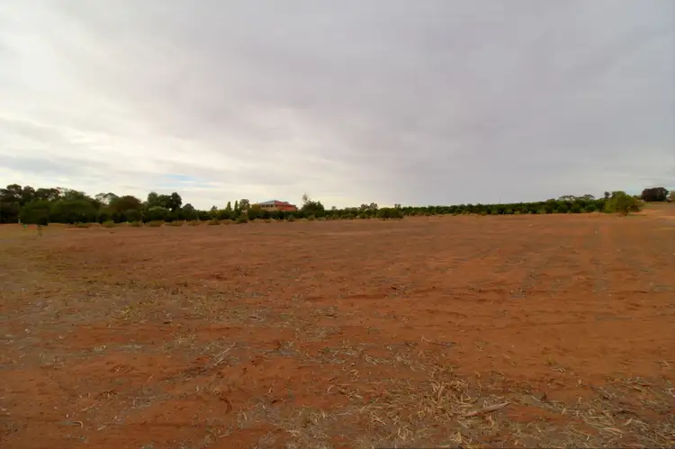 Fourth view of Homely land listing, Lot 1 Holmes Road, Kingston On Murray SA 5331