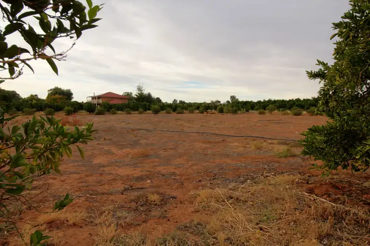 Sixth view of Homely land listing, Lot 1 Holmes Road, Kingston On Murray SA 5331