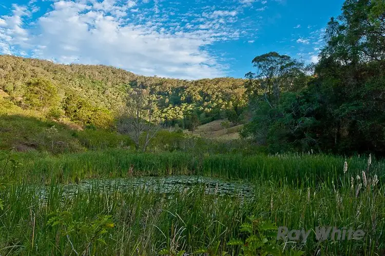 Seventh view of Homely house listing, 52 Macadamia Drive, Laceys Creek QLD 4521