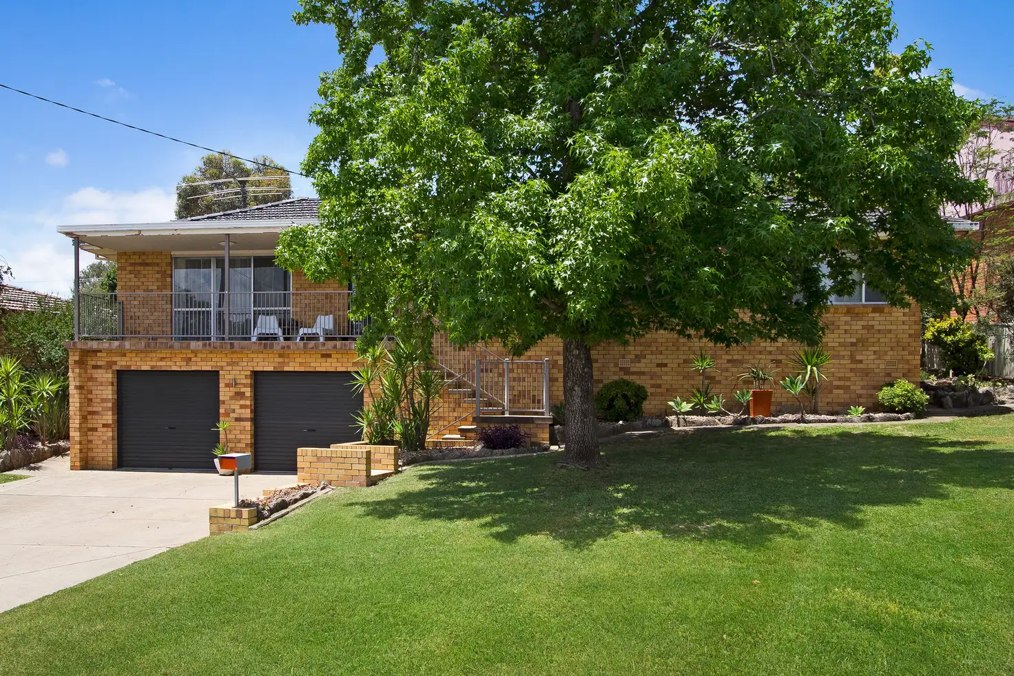 Main view of Homely house listing, 19 Cypress Street, Tamworth NSW 2340