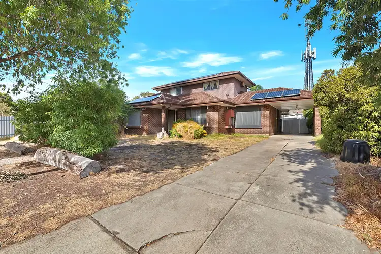 Second view of Homely house listing, 20 Claire Street, Ridgehaven SA 5097