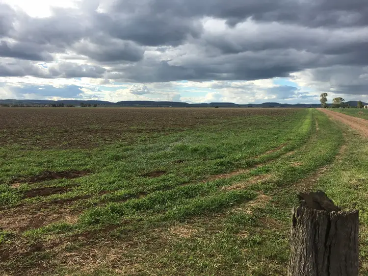 Fifth view of Homely rural property listing, Lot 92 Platz Road (Clifton), Kings Creek QLD 4361