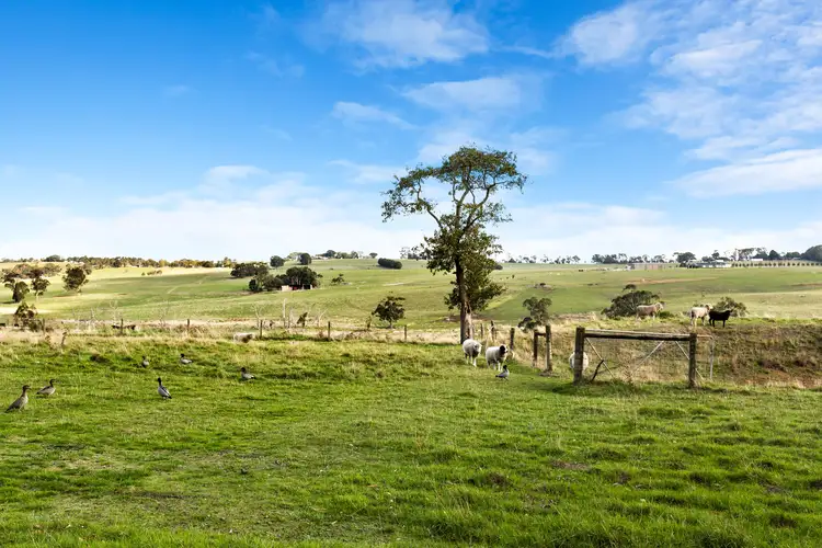 Fourth view of Homely rural property listing, 255 Pryor Road, Drouin VIC 3818