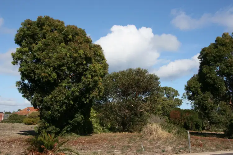 Fourth view of Homely other listing, 30 Goldsmith Street, South Bunbury WA 6230