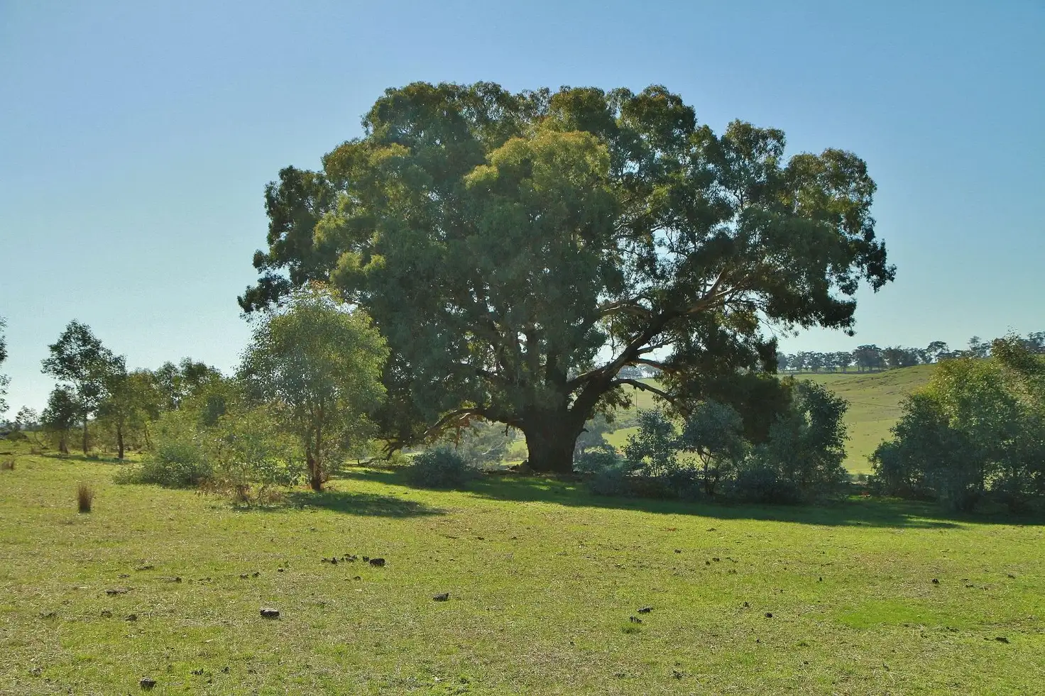 Main view of Homely land listing, CA 2B Mia Mia - Derrinal Road, Heathcote VIC 3523