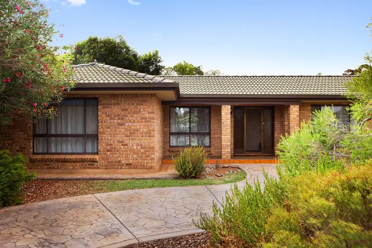 Main view of Homely house listing, 51 Oliphant Avenue, Marion SA 5043