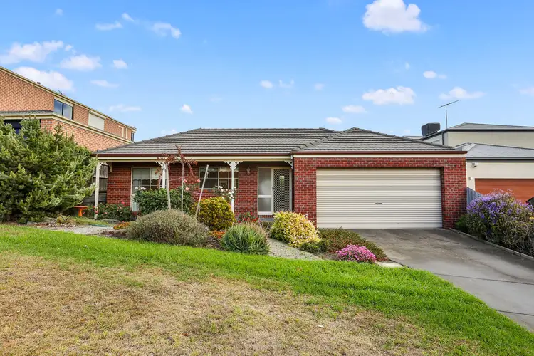 12 Lipizzaner Court, Highton VIC 3216