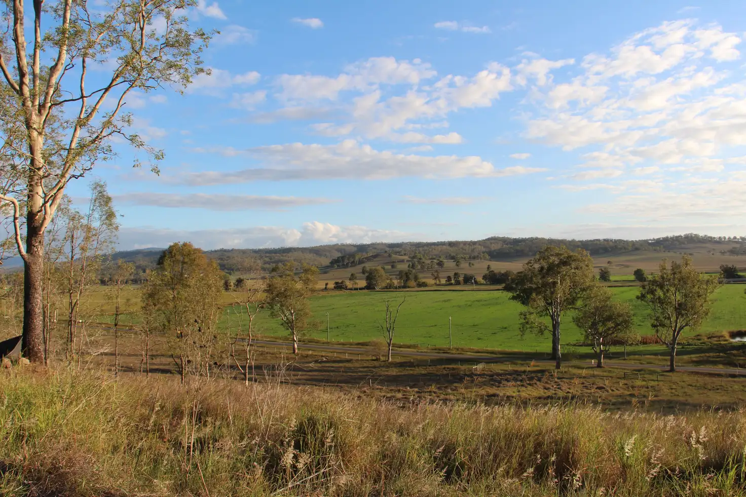 Main view of Homely rural property listing, 1079 Christmas Creek Road, Christmas Creek QLD 4285