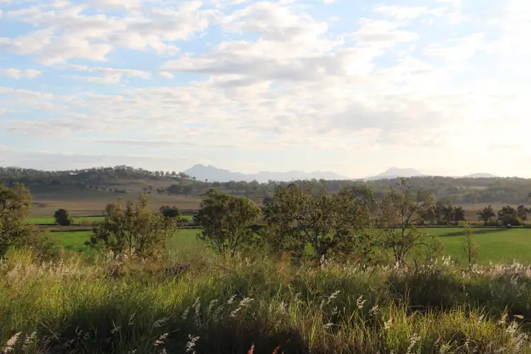 Fourth view of Homely rural property listing, 1079 Christmas Creek Road, Christmas Creek QLD 4285