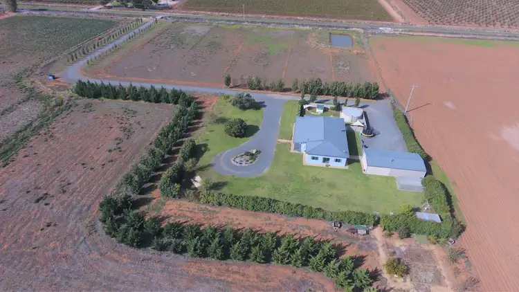 Second view of Homely rural property listing, 89 Moseley Road, Bilbul NSW 2680