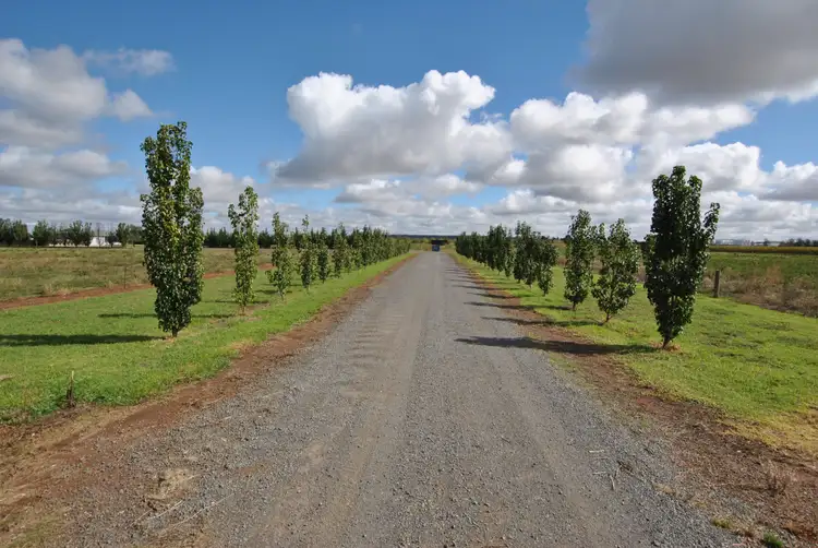Third view of Homely rural property listing, 89 Moseley Road, Bilbul NSW 2680