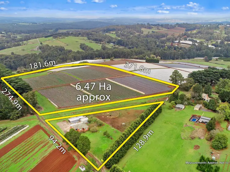 Main view of Homely house listing, 123 Monbulk-Seville Road, Silvan VIC 3795