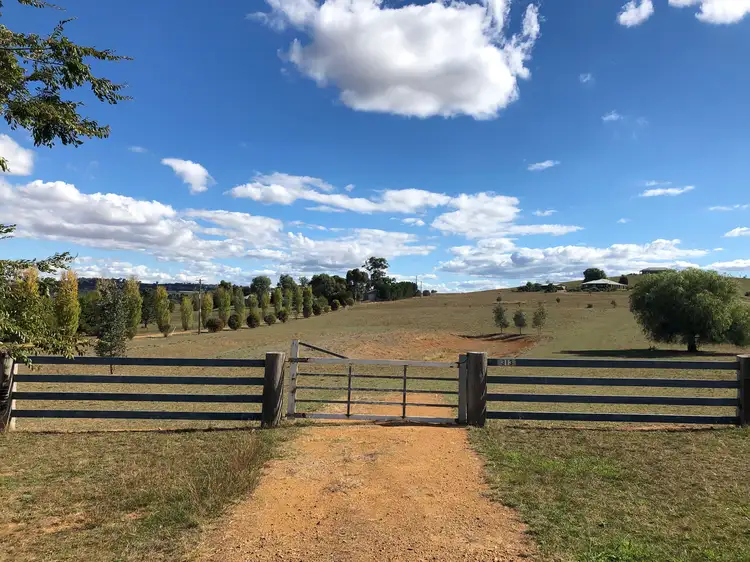 Main view of Homely rural property listing, 313 Elouera Road, Cowra NSW 2794
