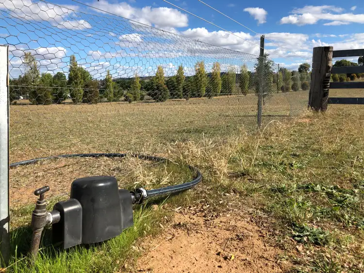 Third view of Homely rural property listing, 313 Elouera Road, Cowra NSW 2794