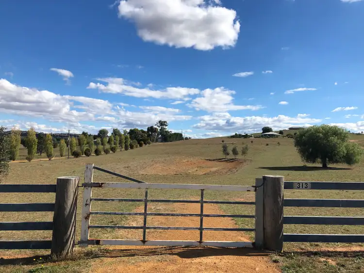 Fifth view of Homely rural property listing, 313 Elouera Road, Cowra NSW 2794