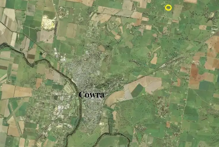 Seventh view of Homely rural property listing, 313 Elouera Road, Cowra NSW 2794