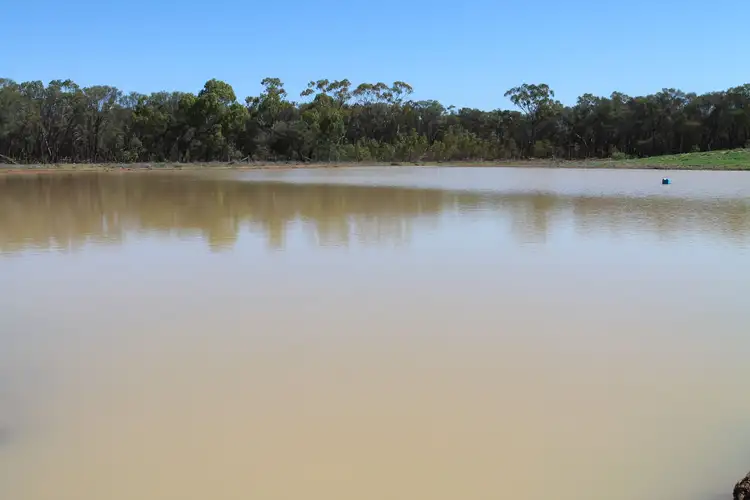 Fourth view of Homely rural property listing, 2705 Adavale Road, Charleville QLD 4470