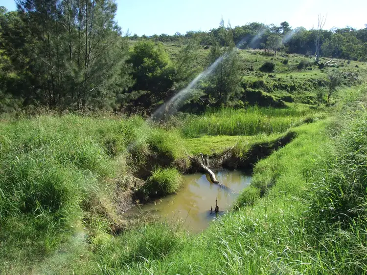 Fourth view of Homely rural property listing, L11 Pierce Creek Road, Emu Creek QLD 4355