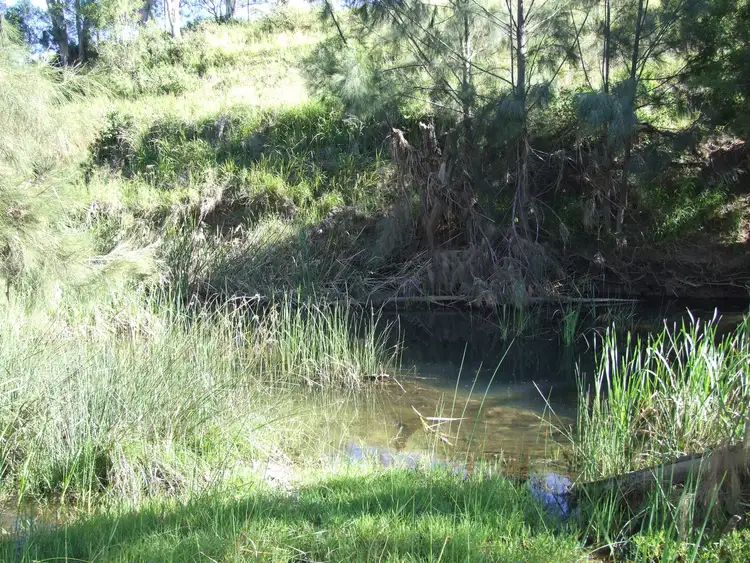 Fifth view of Homely rural property listing, L11 Pierce Creek Road, Emu Creek QLD 4355