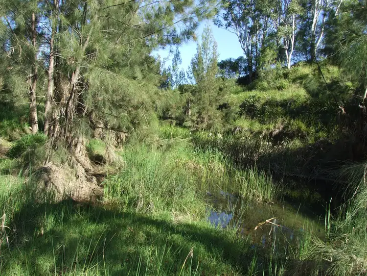 Sixth view of Homely rural property listing, L11 Pierce Creek Road, Emu Creek QLD 4355