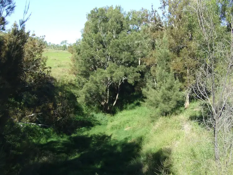 Seventh view of Homely rural property listing, L11 Pierce Creek Road, Emu Creek QLD 4355