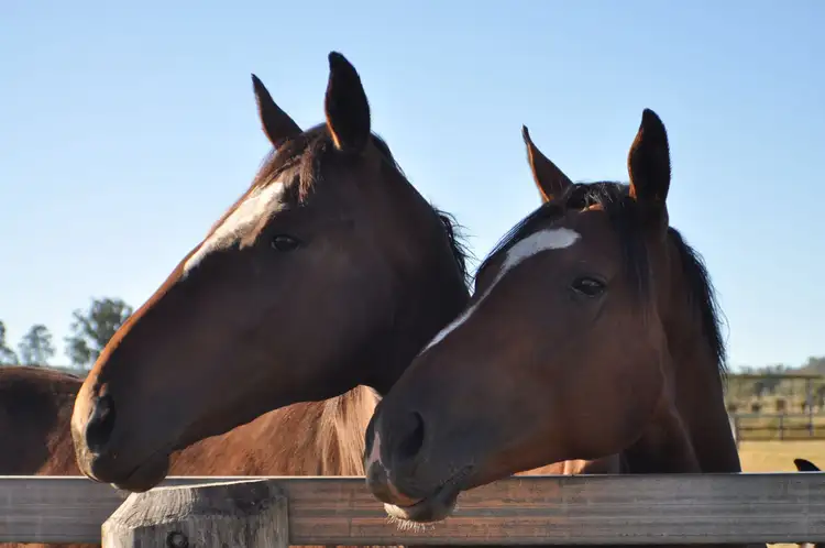 Sixth view of Homely rural property listing, 644 Glover Road, Pilton QLD 4361