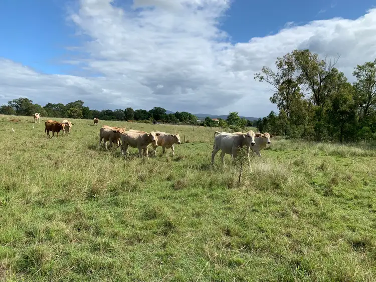 Seventh view of Homely rural property listing, 6097 Mount Lindesay Highway, Woodhill QLD 4285