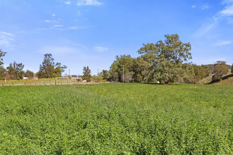 Main view of Homely rural property listing, 423 Garthowen Road, Tamworth NSW 2340