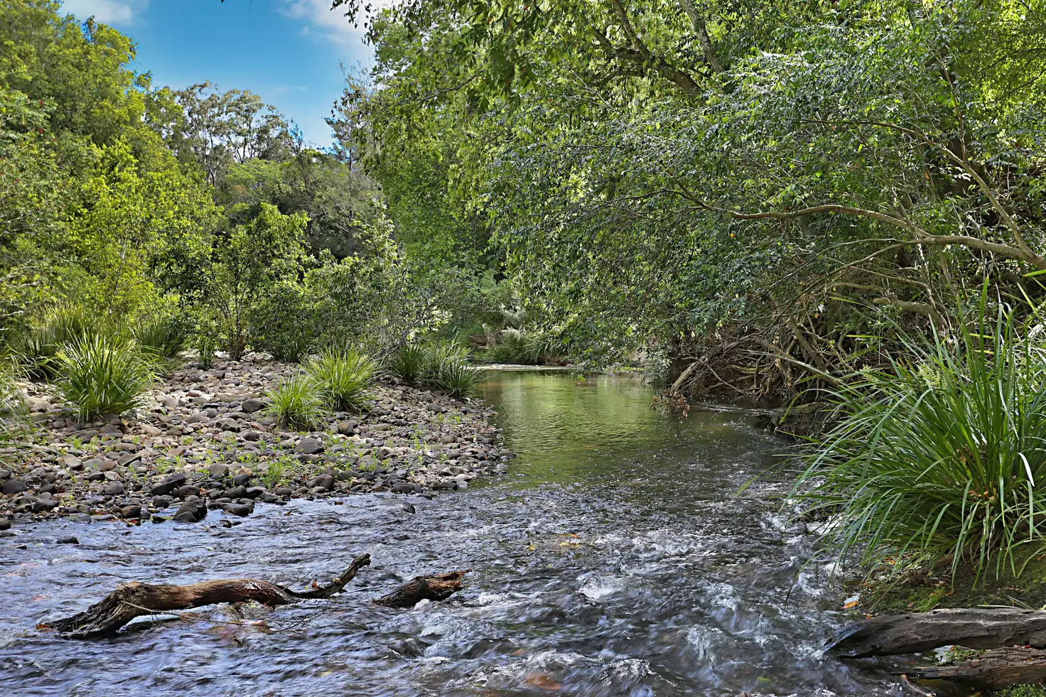 Main view of Homely house listing, 270 Fosterton Road, Dungog NSW 2420