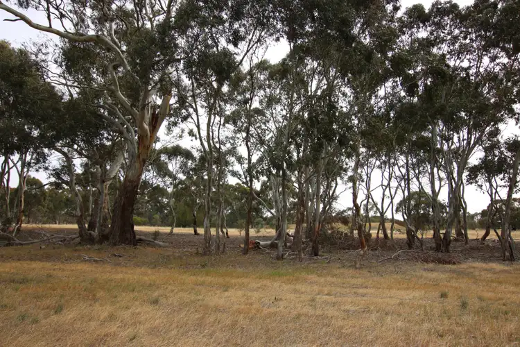 Third view of Homely rural property listing, 00 Charlton-St Arnaud Road, St Arnaud VIC 3478