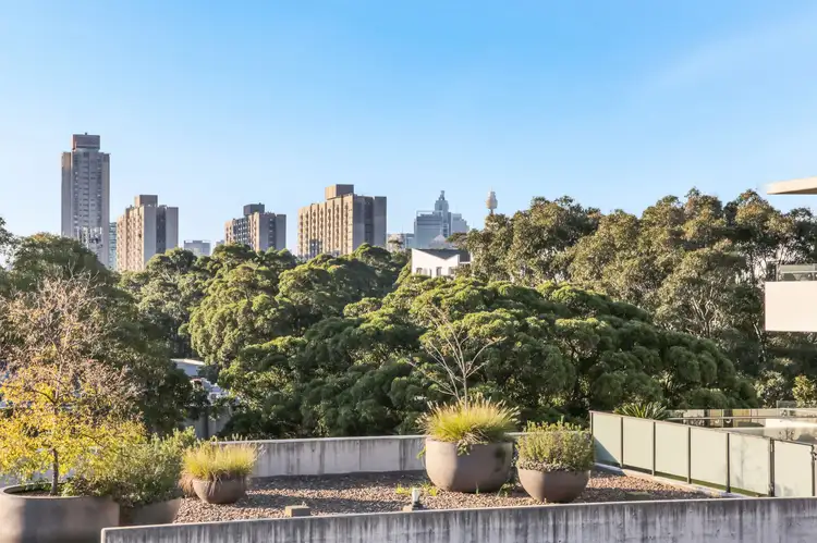 Second view of Homely apartment listing, 40B/356 George Street, Waterloo NSW 2017