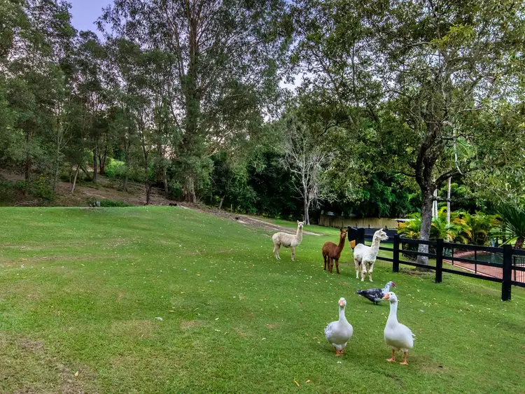 Fourth view of Homely rural property listing, 23 Gladrose Crescent, Wongawallan QLD 4210