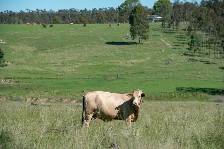 Second view of Homely rural property listing, 3336 Wivenhoe-Somerset Road, Crossdale QLD 4312