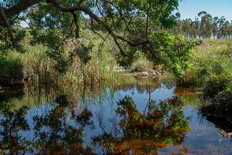 Fourth view of Homely rural property listing, 3336 Wivenhoe-Somerset Road, Crossdale QLD 4312