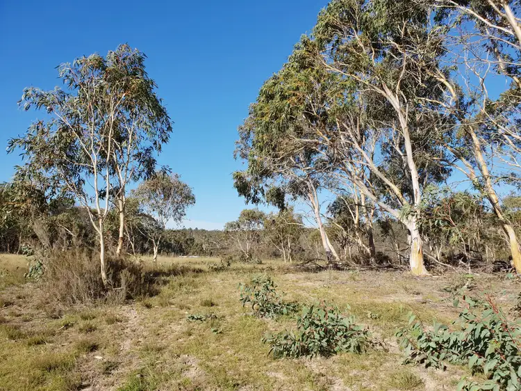 Sixth view of Homely rural property listing, Lot 18 Nerriga Road, Braidwood NSW 2622