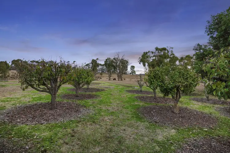Fifth view of Homely house listing, 71 Parkview Drive, Lancefield VIC 3435