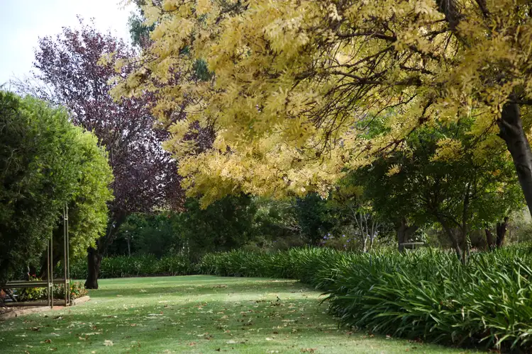 Fourth view of Homely house listing, 1186 Walla Avenue, Griffith NSW 2680