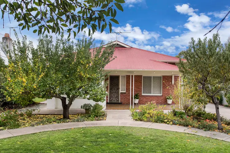 20 Angus Street, Goodwood SA 5034
